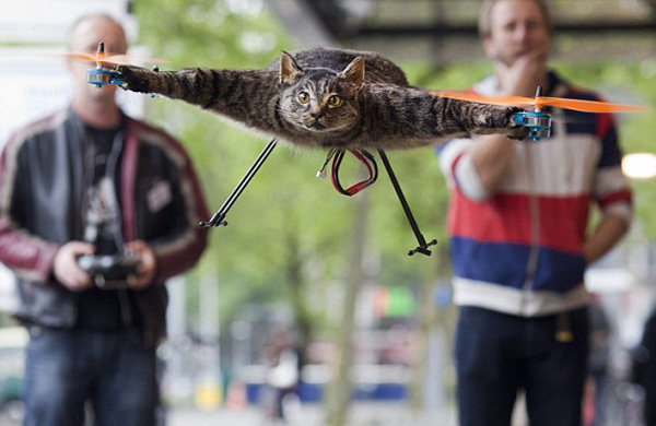 Cat-O-Copter
